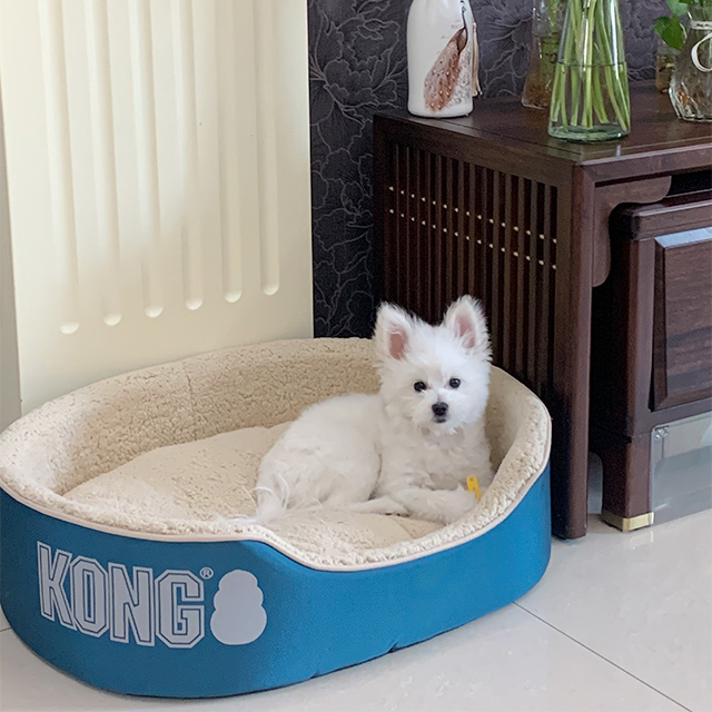 Wear-Resistant Oval Pet Bed Soft Dog Cat